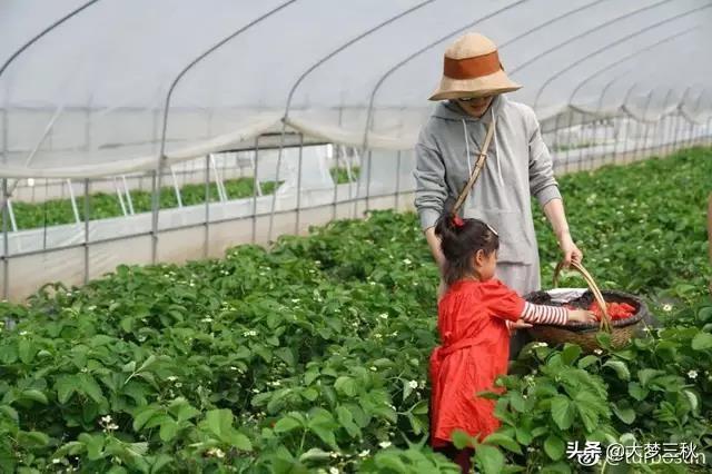 夏天最好女士遮阳遮脸大沿防晒帽,防晒遮阳帽女士百搭