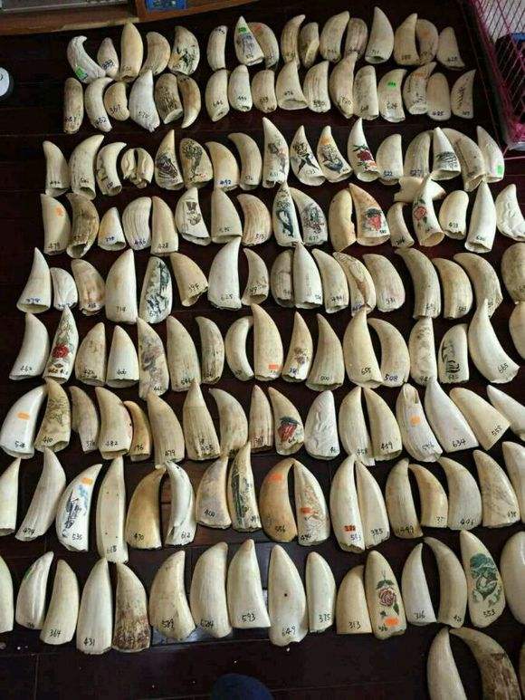 盘点文玩圈中不能碰的五种文玩,这6种文玩一定不要碰太吓人了