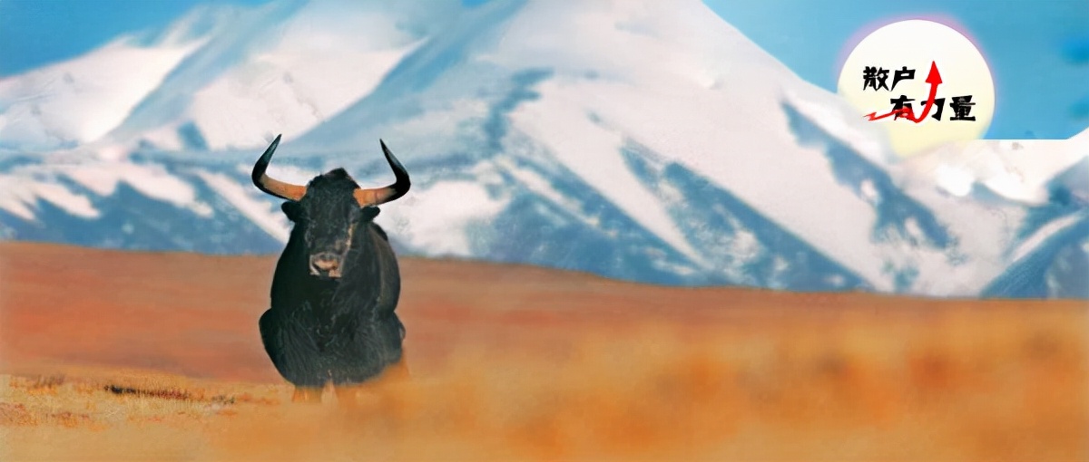 大消息落地,3600点有戏了?