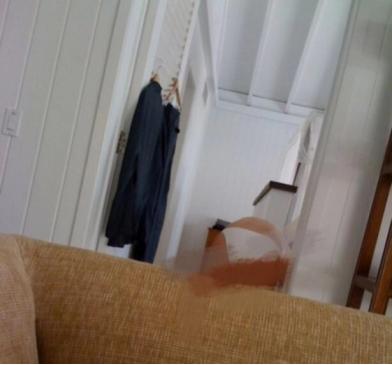 美艳女星出书爆料：15岁遭性侵、42岁流产，还被迫三人行？