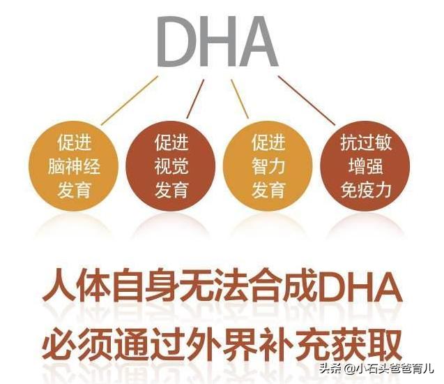 哪些dha能促进胎儿大脑发育,孕期补dha有助于提高宝宝智力吗