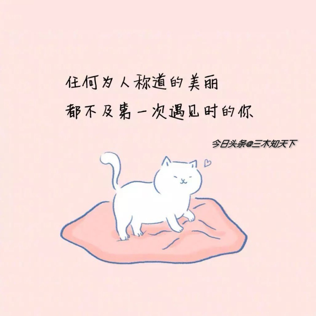 曾经的情话有的变成了脏话,曾经说过的情话