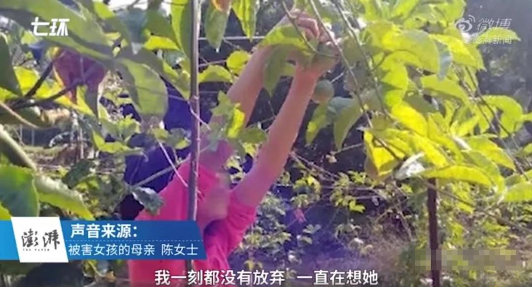 性教育是科学教育还是道德教育,为什么说性教育对成年人很重要