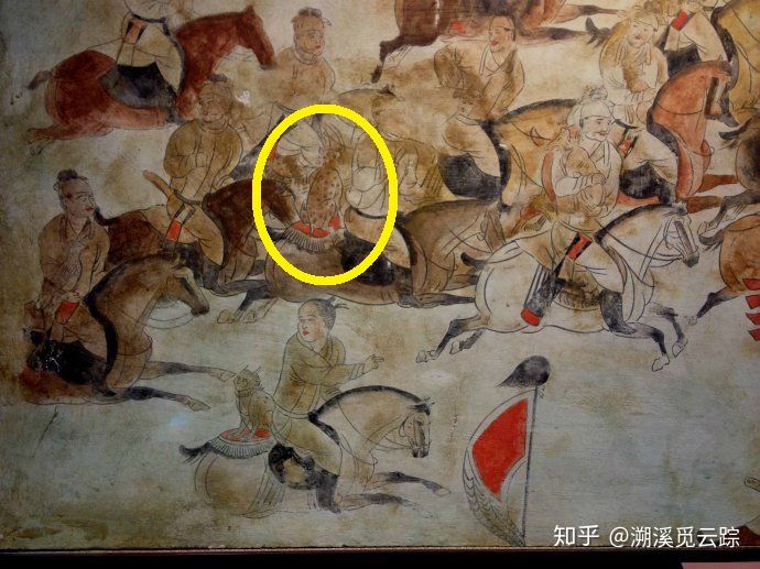 有哪些容易被认错的动物,容易被欺负的动物有哪些