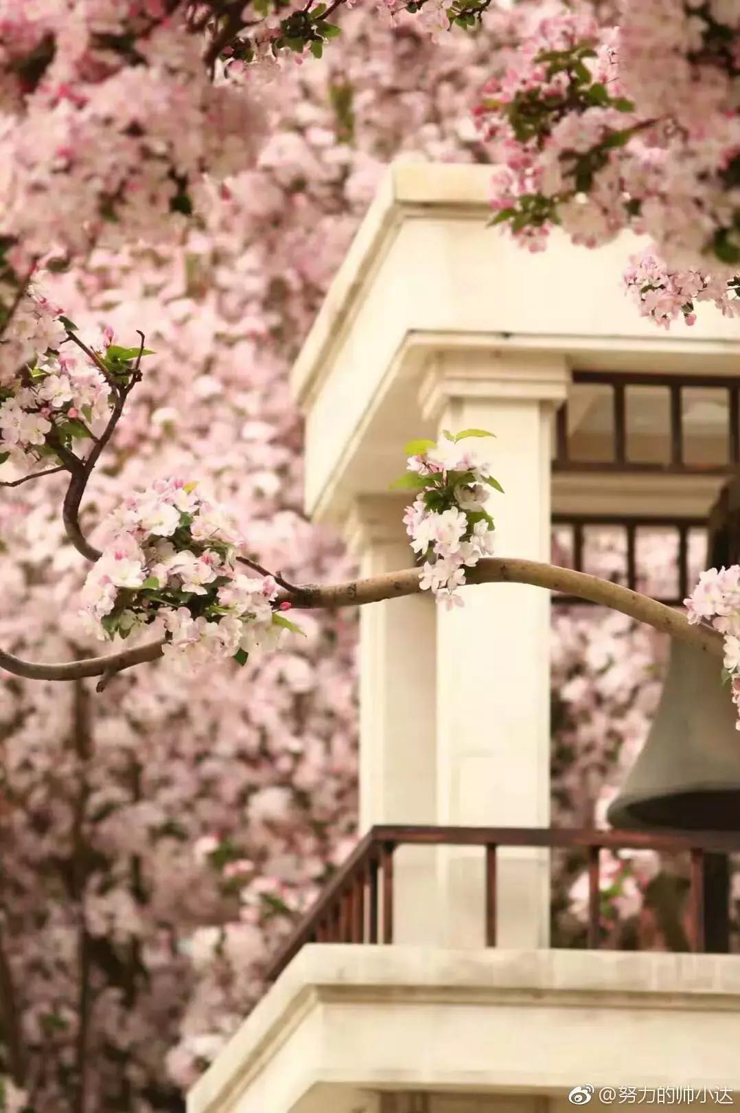 天津南开中学校史真实感受,天津南开中学有多厉害