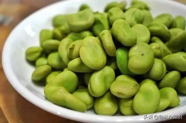 鲁迅的资深吃货,鲁迅是著名的吃货