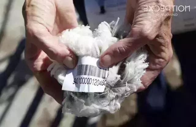 中国服装原创设计师品牌哪些好,服装原创设计品牌