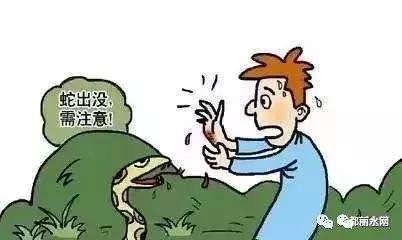 惠州小区发现眼镜蛇,一小区出现蛇