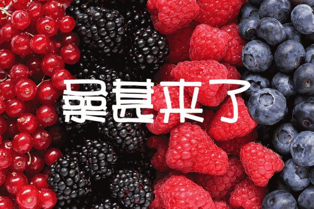 咸阳人：周末，到兴平摘桑葚走！