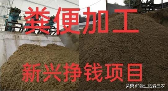 在农村开个什么加工厂比较赚钱,适合农村小作坊农产品加工项目