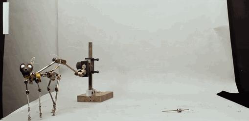 2019入围奥斯卡最佳动画短片,荣获奥斯卡最佳短片提名的短片