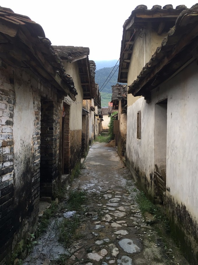 广州从化溪头村一日游出游攻略,从化溪头村自驾游攻略视频