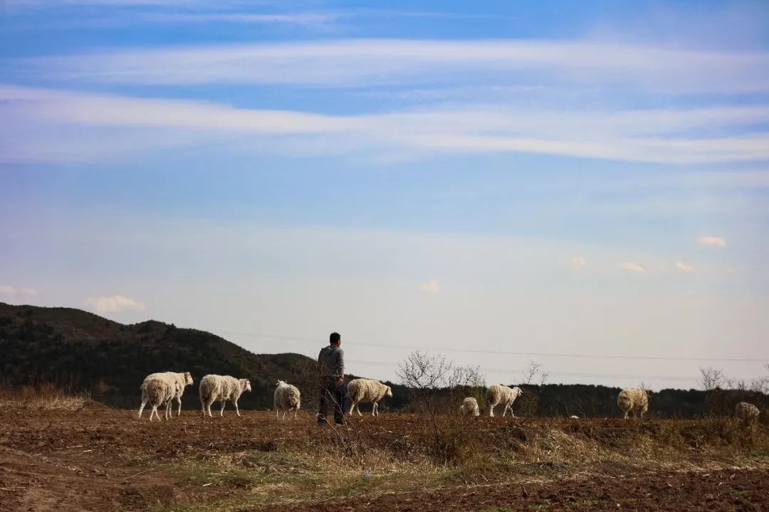 辽宁阜新游玩攻略,辽宁阜新市旅游攻略