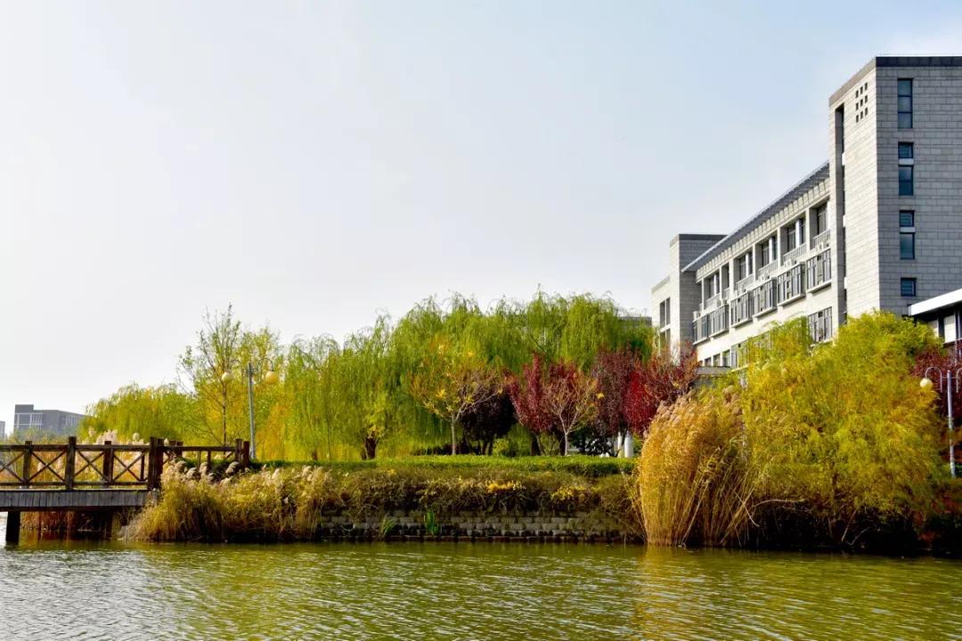 天津公办3+2本科学校有哪些,天津市专升本天津师范大学