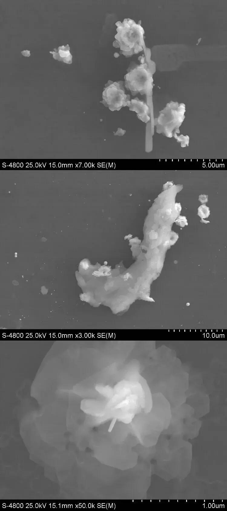 摄影大赛征稿|赋予色彩的世界