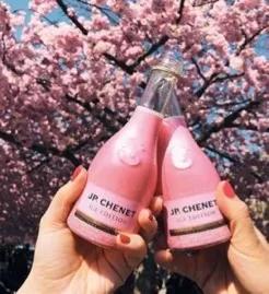 适合女生30元以下平价酒,贵州百元左右好喝的酒