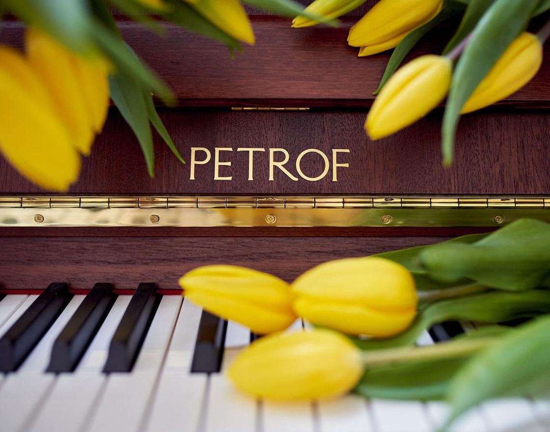 佩卓夫钢琴p210,佩卓夫立式钢琴报价表