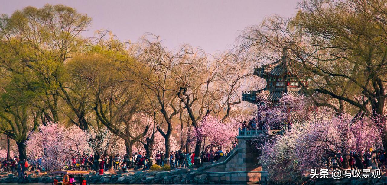 陈从周的园林作品有哪些,陈从周中国园林风格