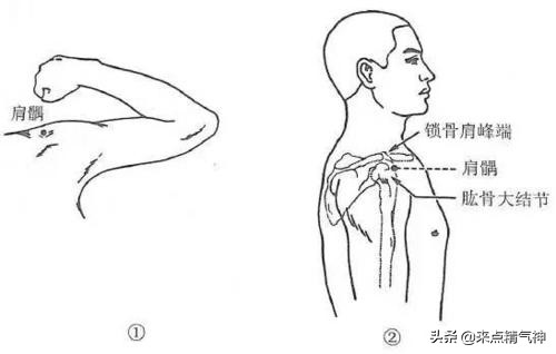常用针灸52腧穴
