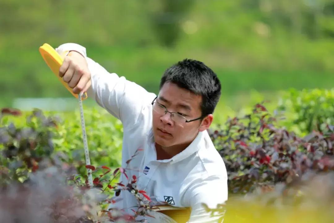 碧桂园资助的学校,碧桂园学校免学费吗