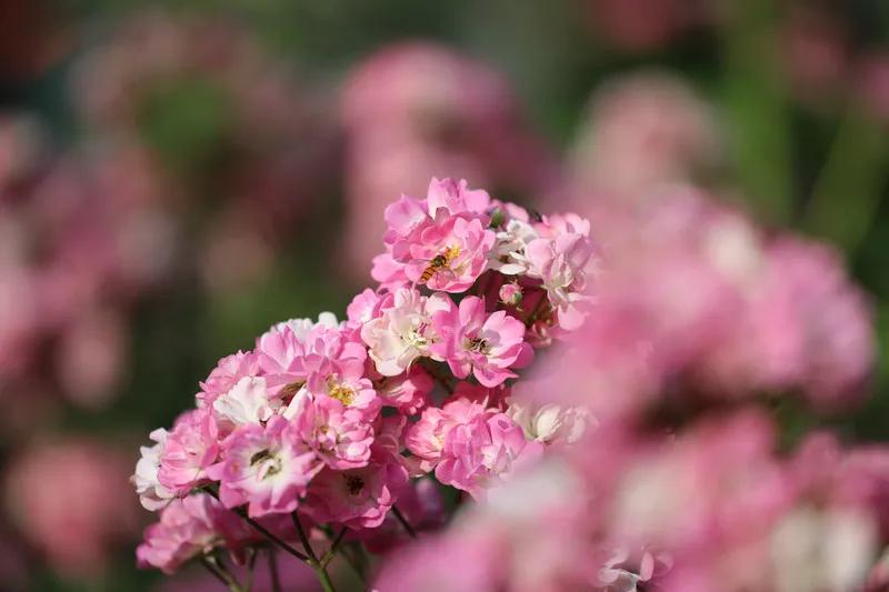 圈子不同不必强融搞笑语录,圈子不同不必强融有幽默的说法吗