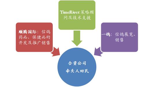 顺腾国际控股实时情况,顺腾国际控股的趋势图