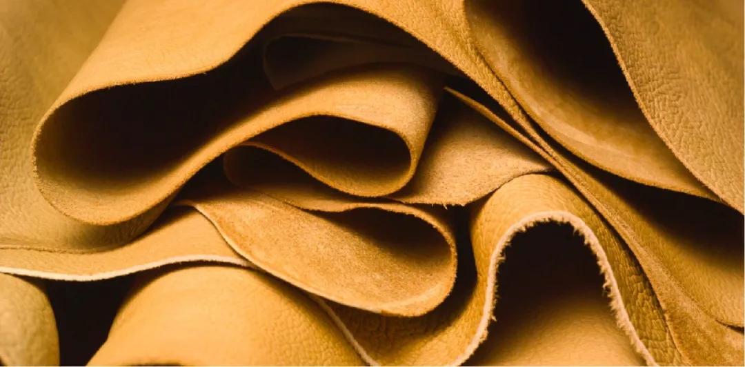 为什么粉丝质量很差,为什么有的人在意品牌真假