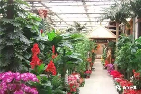 天津哏儿都的好去处,天津哏儿都