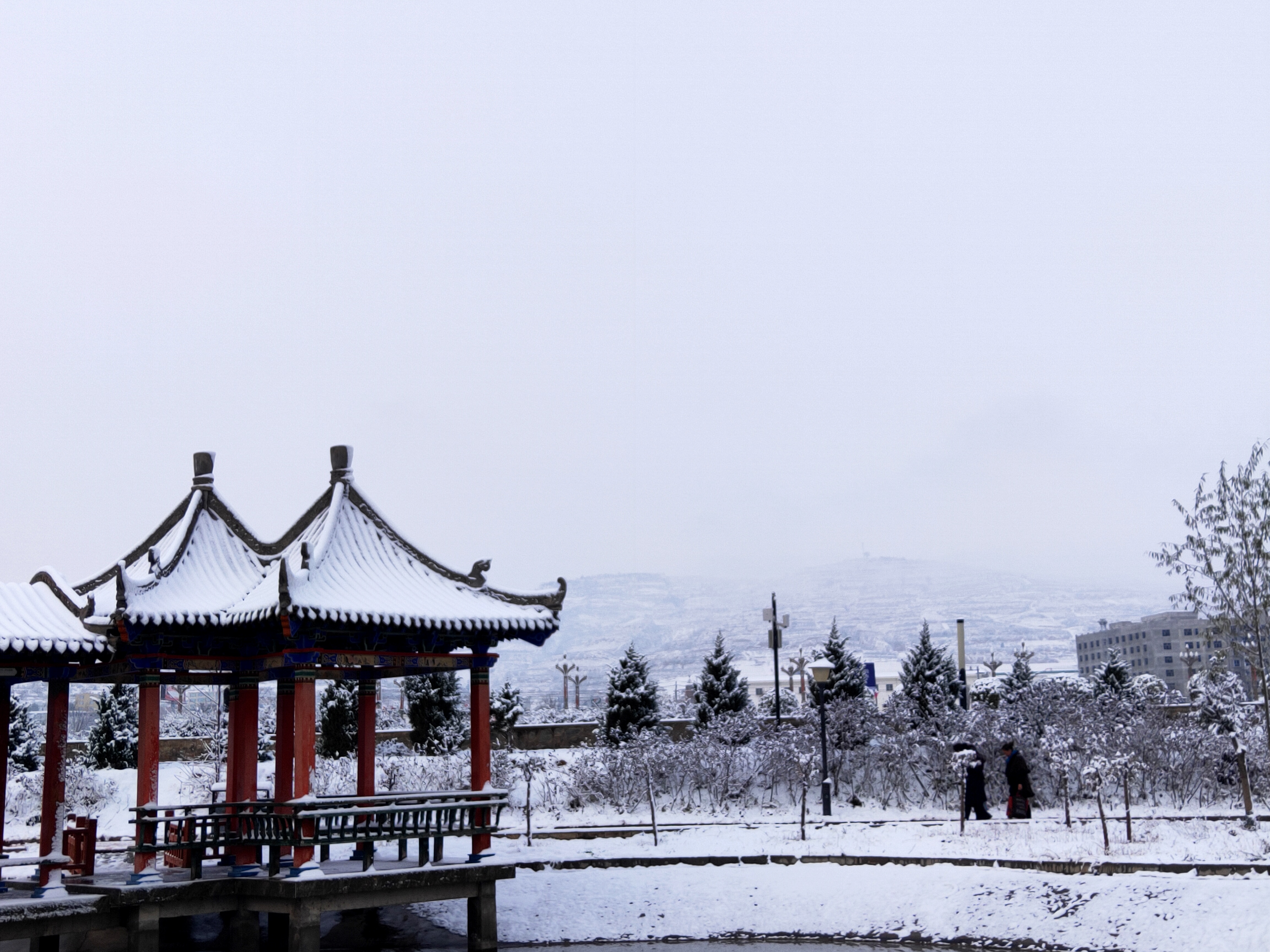 甘肃省2020年正高级教师评审条件,2021甘肃正高级教师通过名单