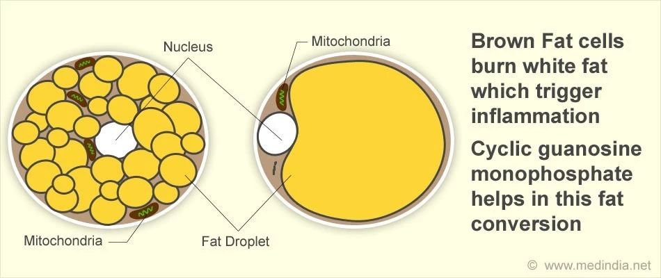 为什么喝咖啡很亢奋,喝咖啡变得特别兴奋