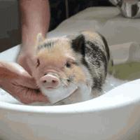 秋冬护肤的4大忌,秋冬护肤离不开这一步