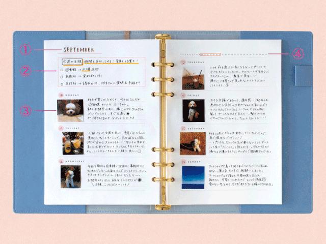 好用到爆的日本文具,日本文具一般都有什么