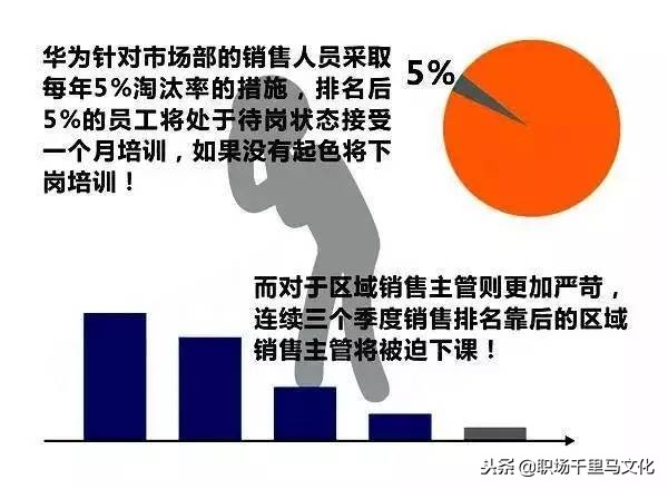 16张图看懂华为管理精华，含文化、培训、绩效、招聘等多个角度！