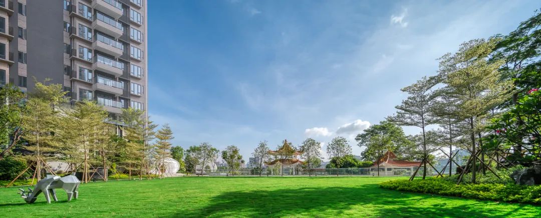 龙湾国樾和龙湾,龙湾国樾600平方