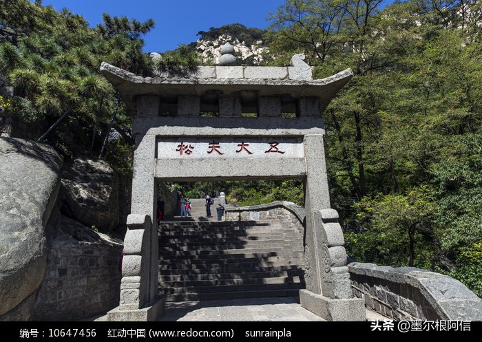 旅游随记一日游,旅游随想