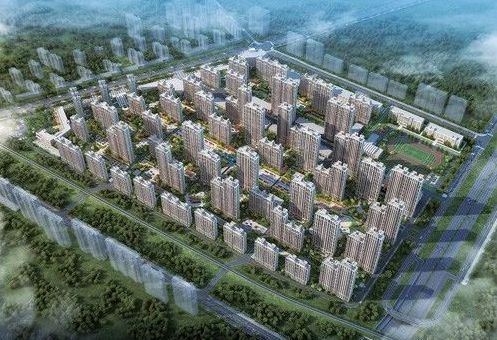 牛总创业经历视频,牛总投资