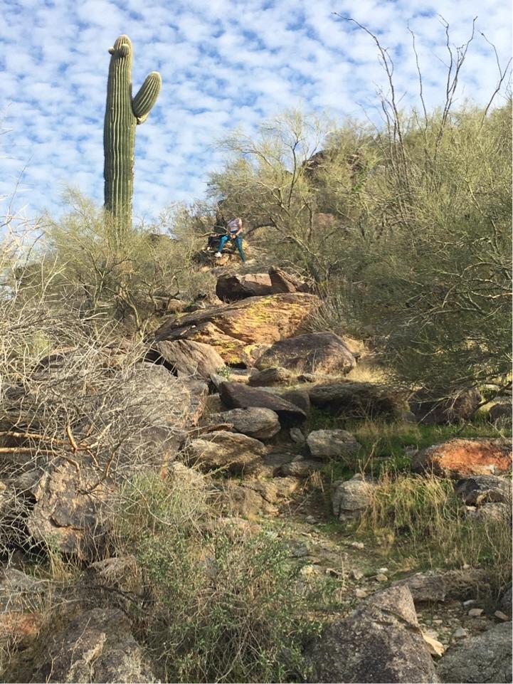 P13川人徐娘之旅美日记系列