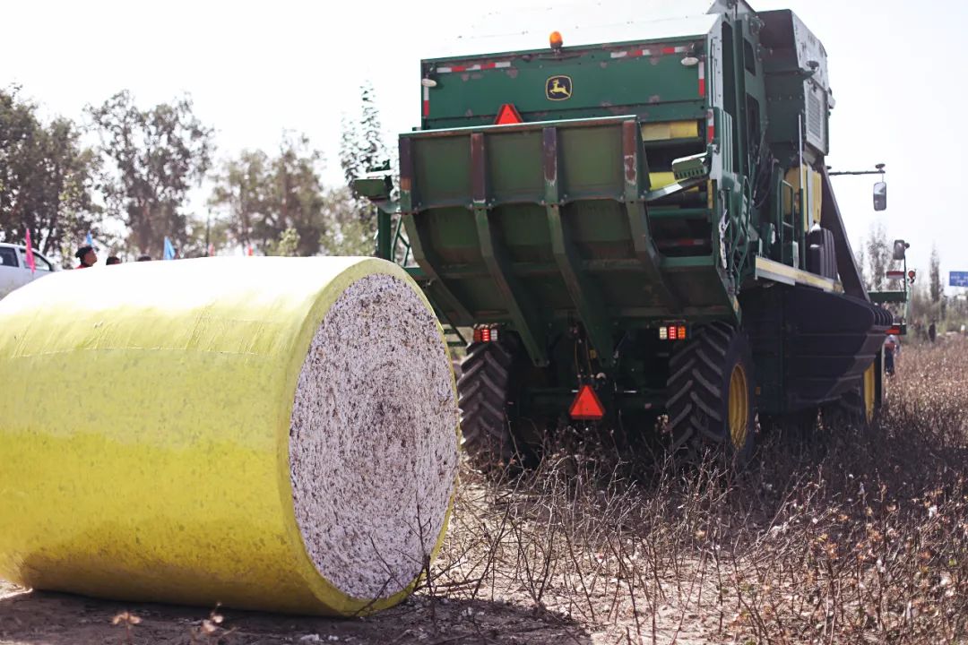 苏州女子探秘南疆巴州：这是一处色彩的世界，超出你的想象