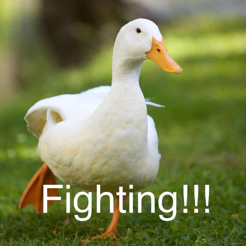 韩国人说的fighting是什么意思,韩国人爱说fighting