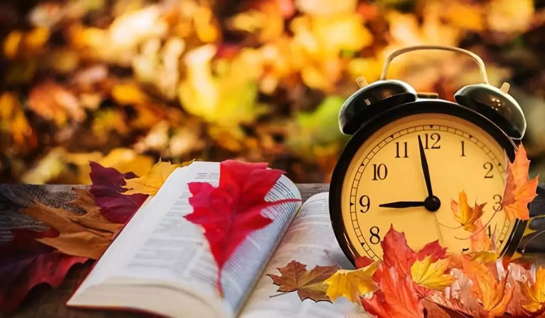 人到中年远离的3种人,人到中年远离这3种人余生顺遂