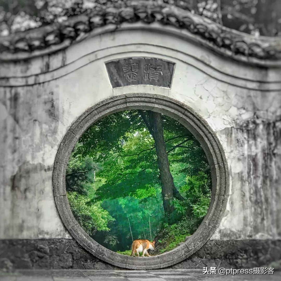 客叔辣评｜摆脱随手拍，你还有多远？