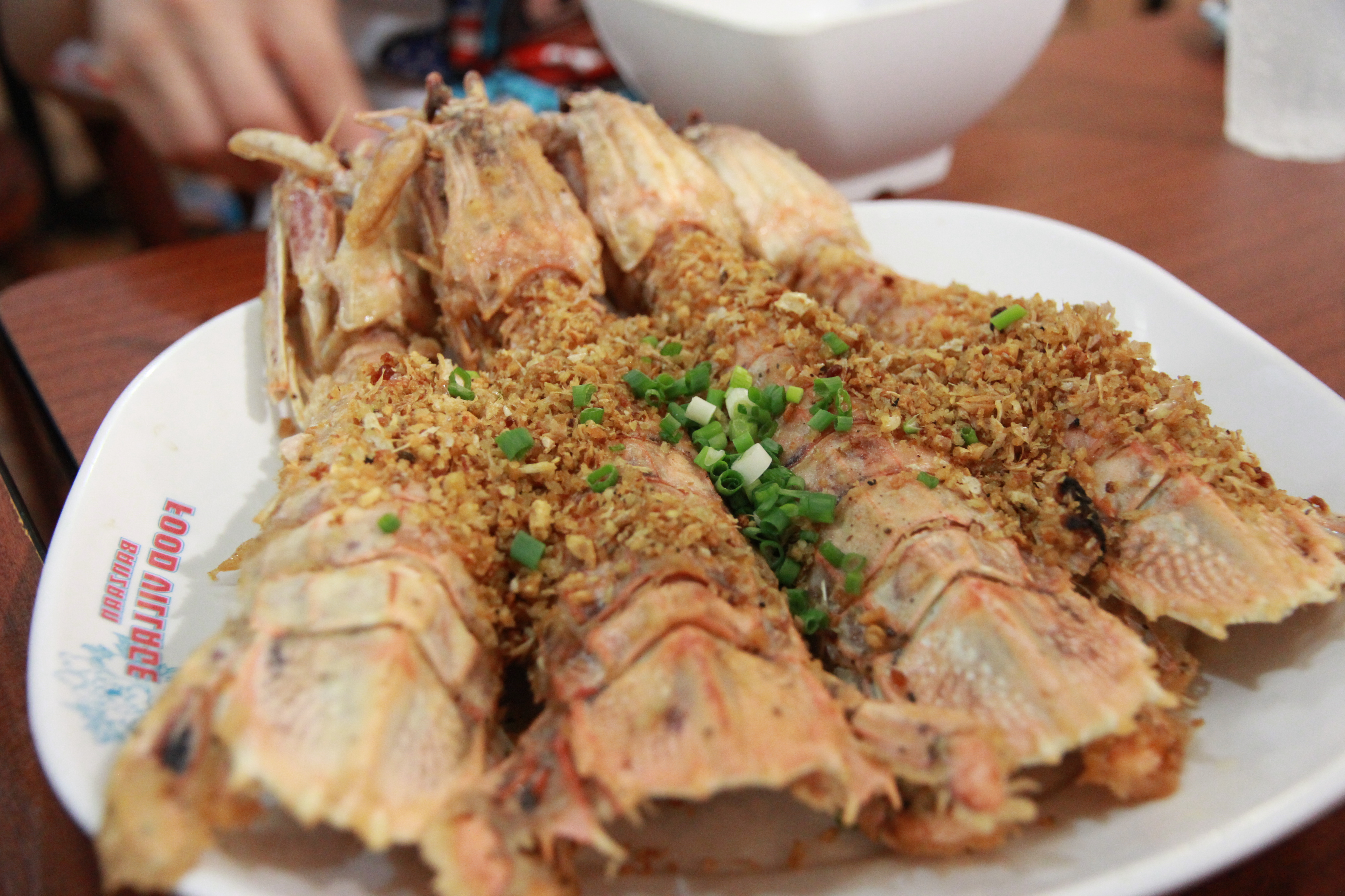 在普吉岛浮潜拍到的美妙海底世界 (普吉岛cape panwa hotel浮潜)