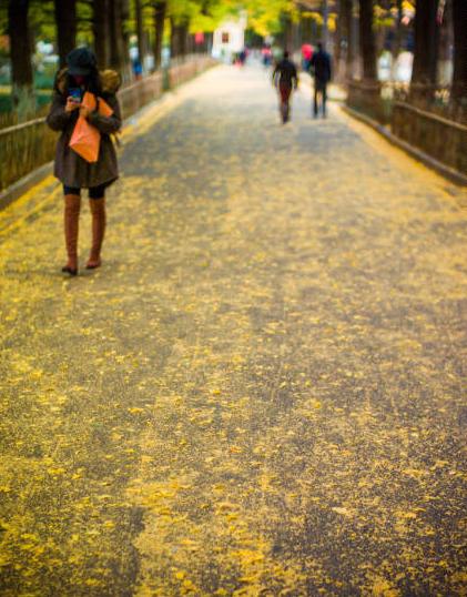 昆明适合拍照的景点有哪些,昆明大理周边旅游景点排名榜前十