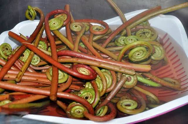 得了癌症哪些食物不能吃,癌症患者几种食物不能吃