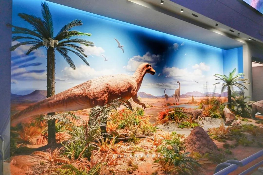 滨海新区海洋博物馆怎样预约,天津滨海亲子游最佳地点