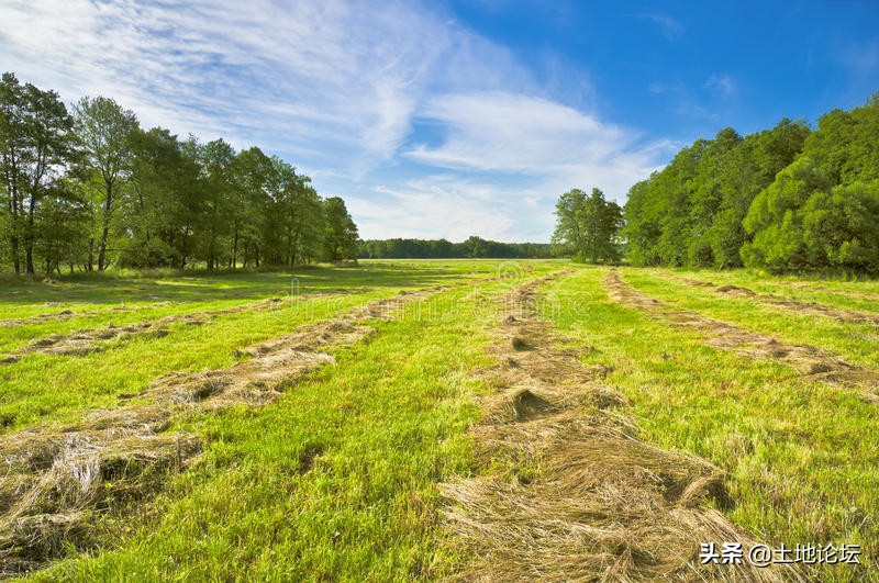强制执行2万元对方没钱怎么办,农民交二项收费村干部催缴
