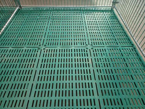 中小型养猪场的粪尿处理系统改造，老养猪户2幅图教你巧用漏粪板