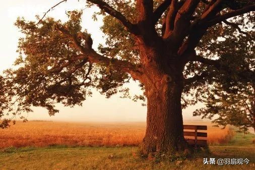 湖南方言不同之处,有趣的湖南方言