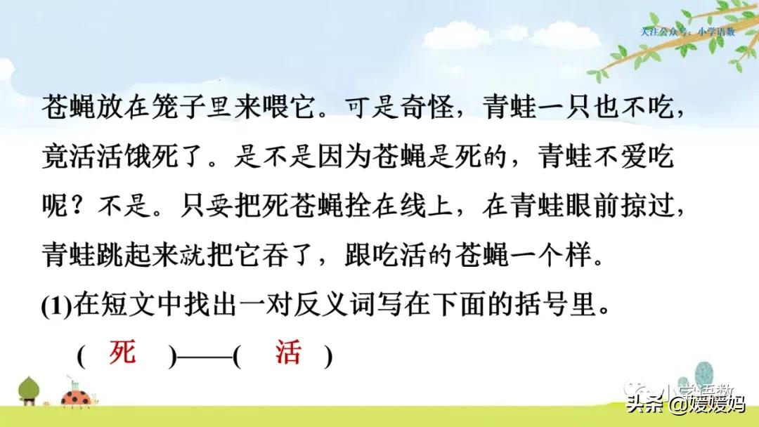 二年级上册小蝌蚪找妈妈听写词语,朗读二年级上册语文小蝌蚪找妈妈