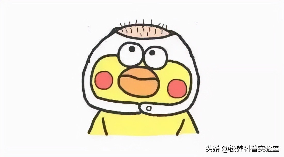 增发新科技脱发者福音 (脱发如何自制发片)